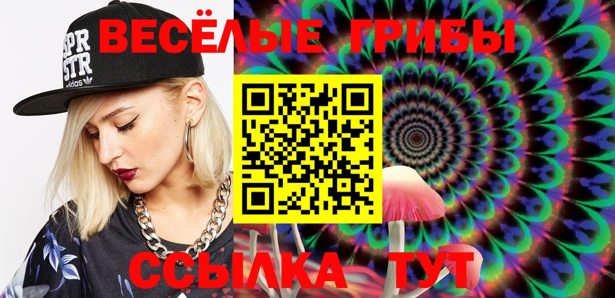 Псилоцибиновые грибы Psilocybe Нижний Тагил